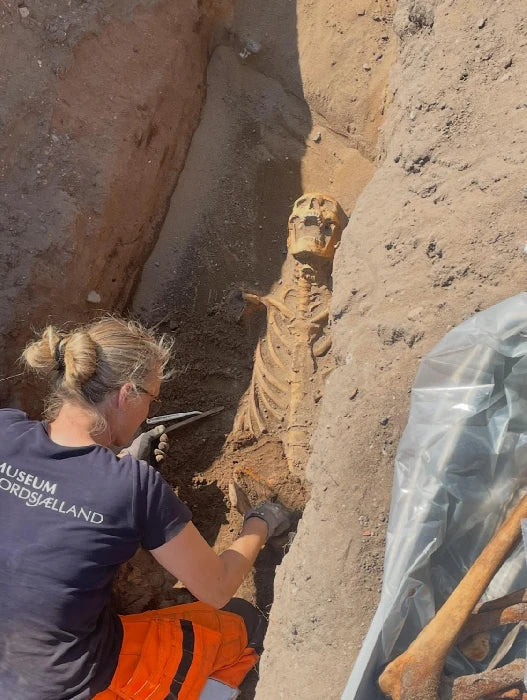 Mere end 500 år gamle skeletter dukket op ved Marienlyst Slot