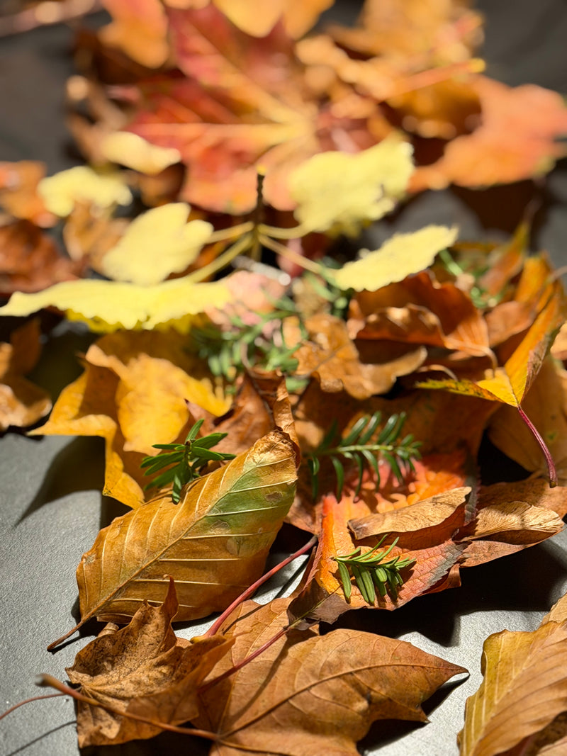 Brunch og efterårseventyr på slottet  - fredag 16. oktober kl. 10-11.30