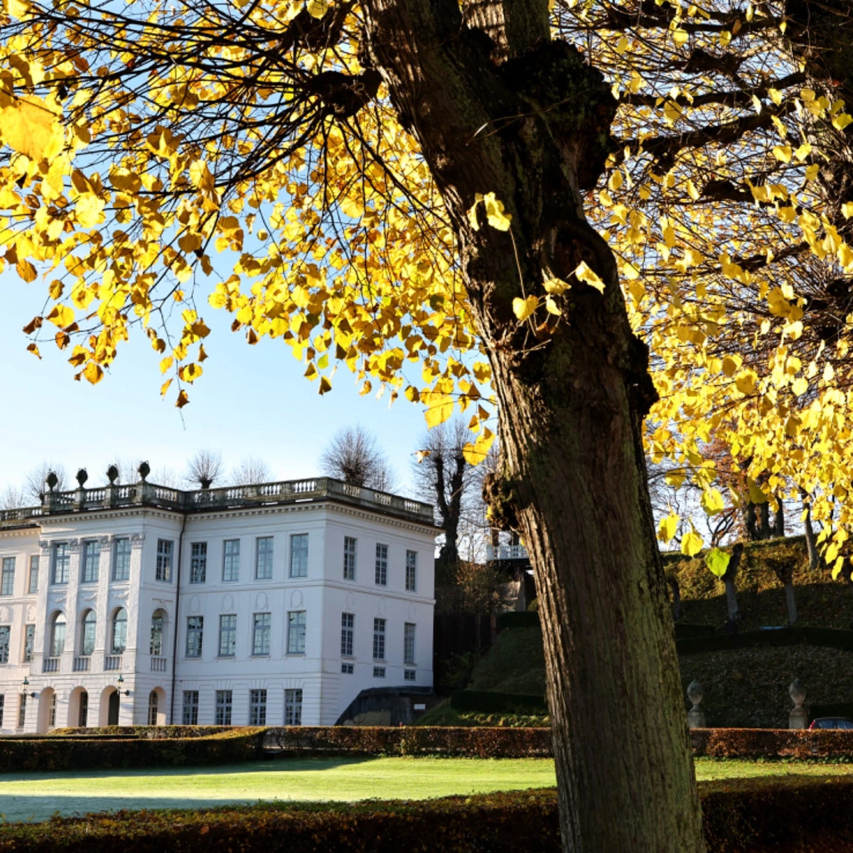 Foto: Lars Johannessen