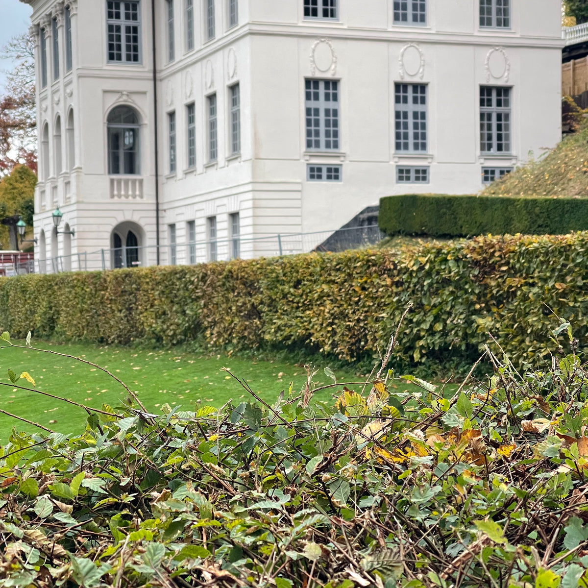 Guided tour – The town, the castle, and the hidden garden story Sunday, October 4, 2026