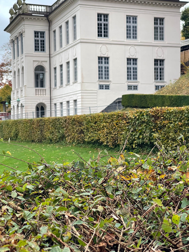 Guided tour – The town, the castle, and the hidden garden story Sunday, October 4, 2026